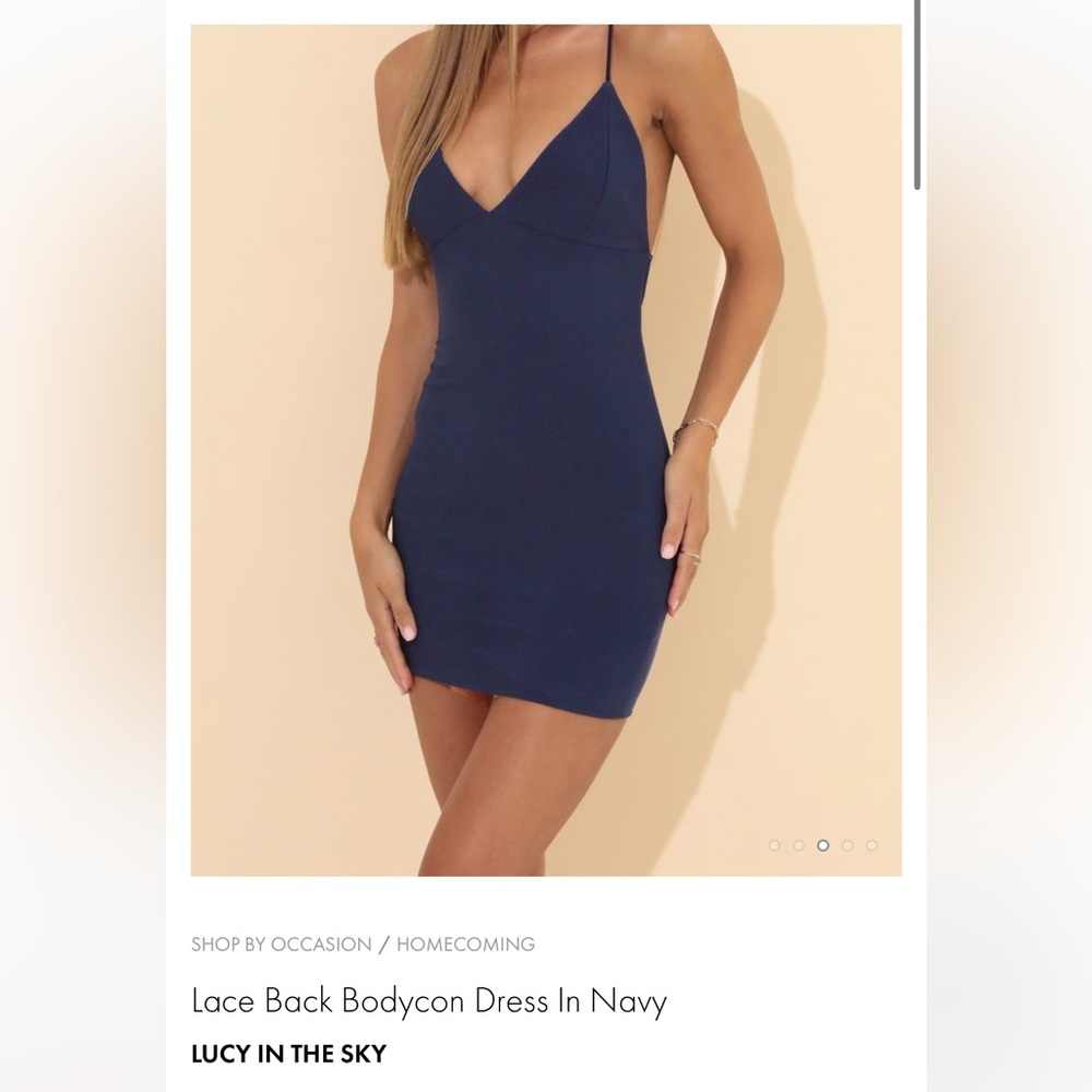 NWT Lucy in the sky dress
